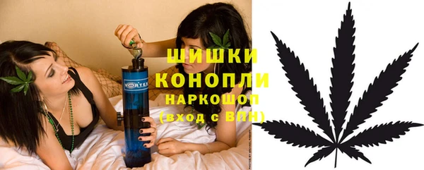 спайс Ельня