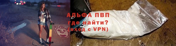 спайс Ельня