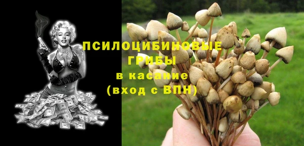 спайс Ельня