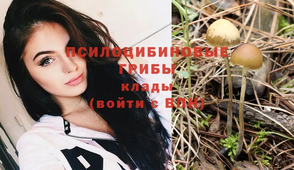 спайс Ельня