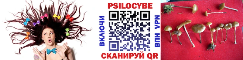 Галлюциногенные грибы Cubensis  Сальск 
