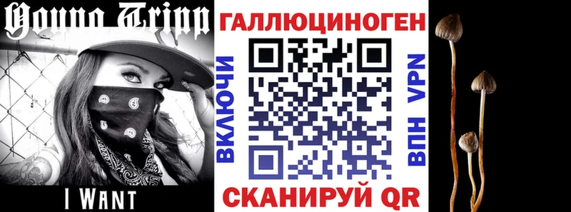 Псилоцибиновые грибы мухоморы Сальск
