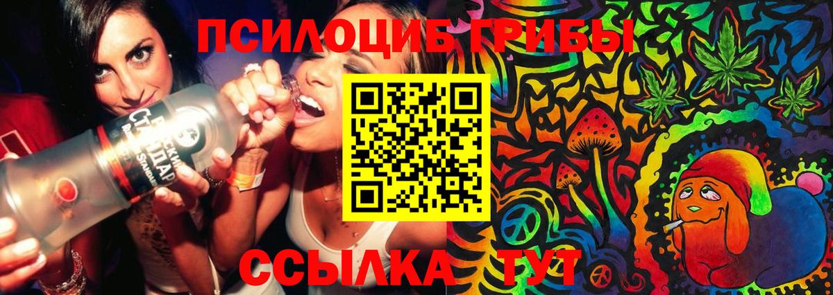 Сальск  Псилоцибиновые грибы мухоморы  Вход с VPN  Псилоцибиновые грибы Magic Shrooms 